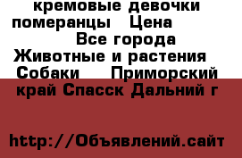 кремовые девочки померанцы › Цена ­ 30 000 - Все города Животные и растения » Собаки   . Приморский край,Спасск-Дальний г.